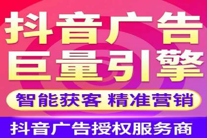 网络推广与竞价优化成功案例
